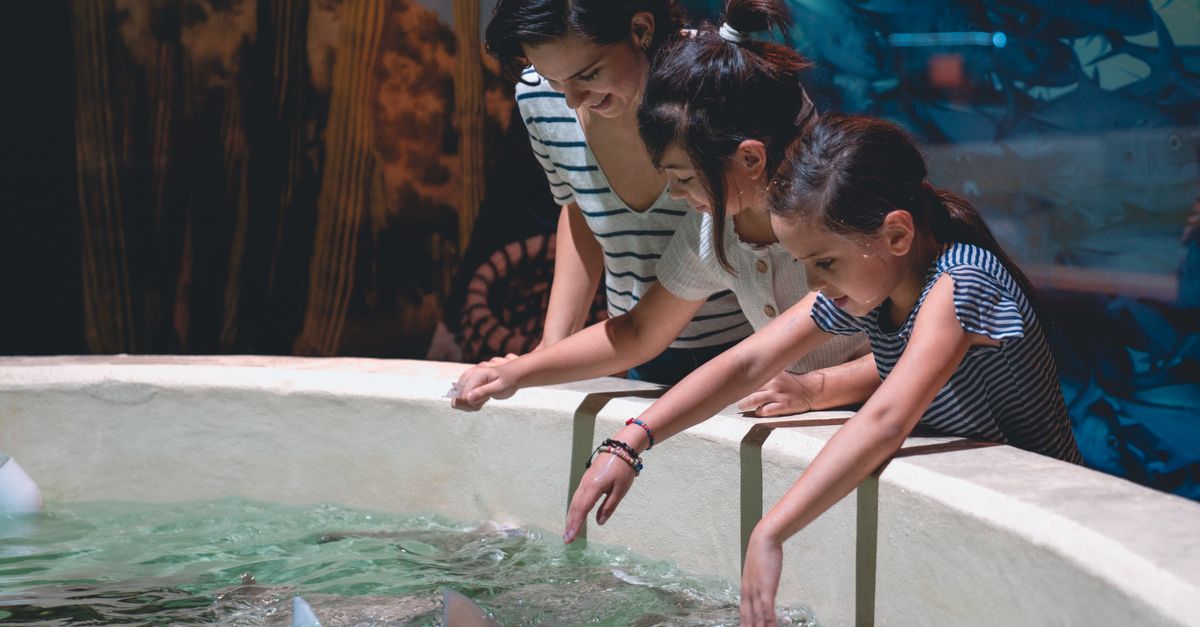 Mother and daughters having fun at an interactive aquarium exhibit with stingrays.